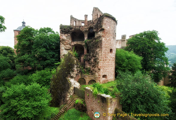 heidelberg-castle_AJP7399.jpg